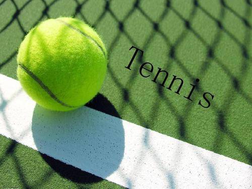 从技战术的 从技战术的